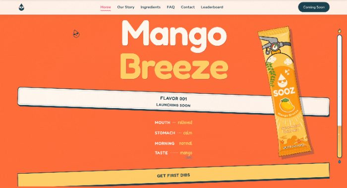 The new drinksooz.com home page
